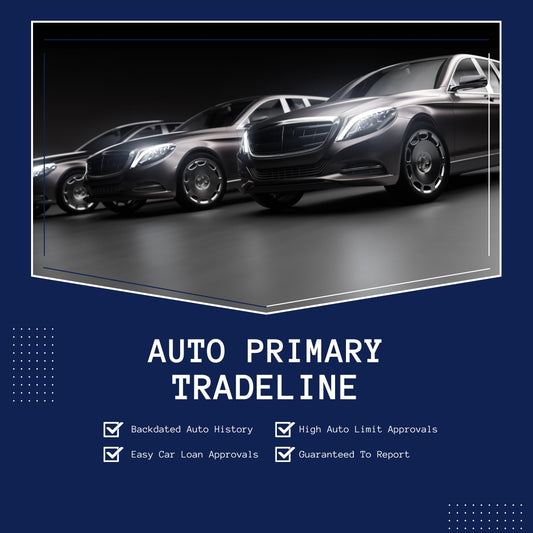 $46,000 Auto Primary Tradeline